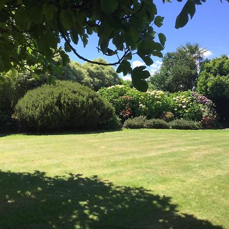 Les Camelias Bed & Breakfast Binic Eksteriør bilde